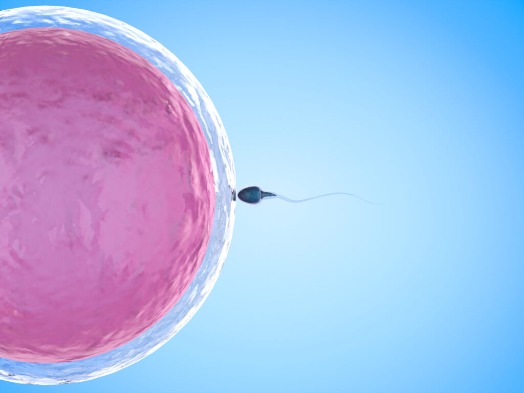 ivf protocols and fertility testing