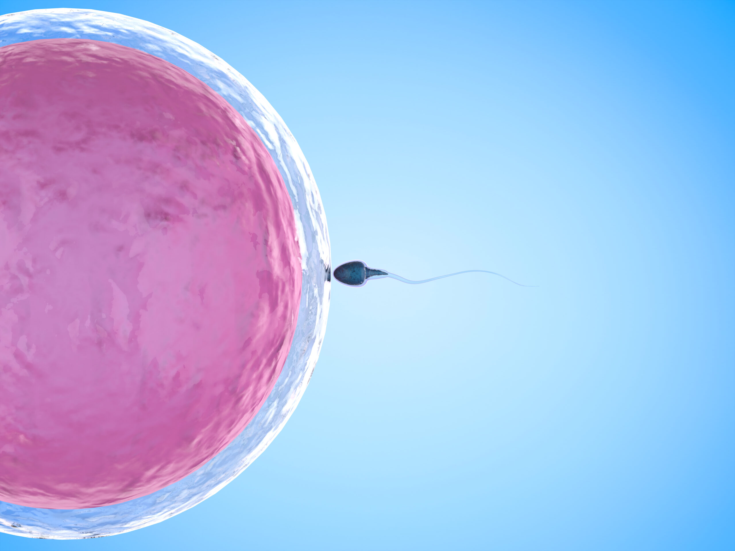 ivf protocols and fertility testing