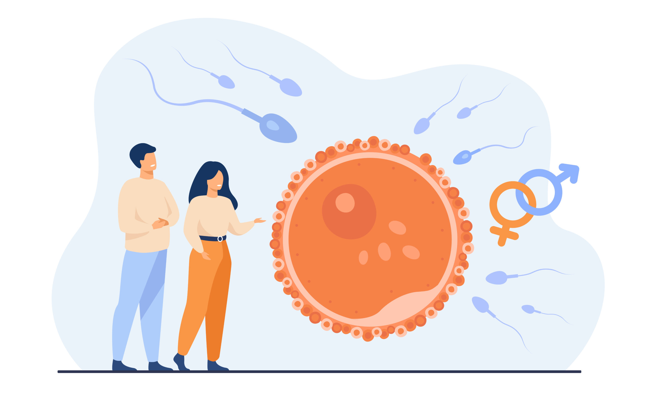 IVF treatment procedure in Andhra Pradesh at Srujana Hospital.