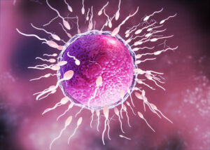 IVF Center in Andhra Pradesh