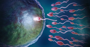 Blogs 12 IVF Center in Andhra Pradesh