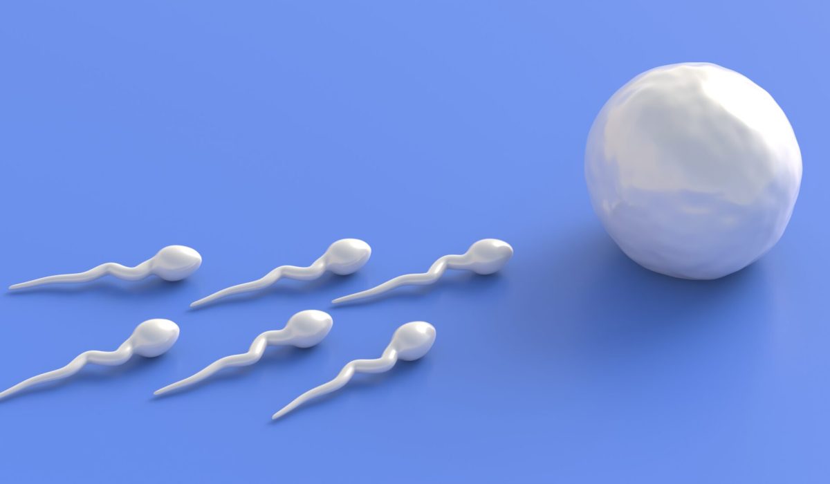 Sperm and egg cell on microscope, male spermatozoa moving to female ovum on blue background. Fertilization, beginning of new human life concept. 3d illustration